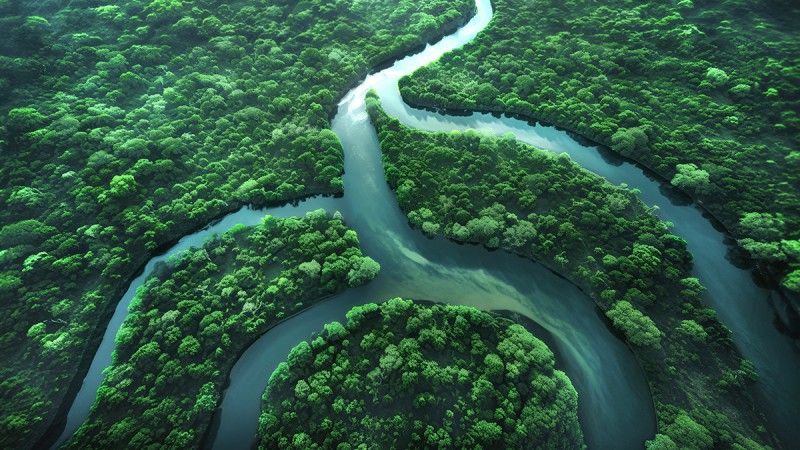 Développement durable